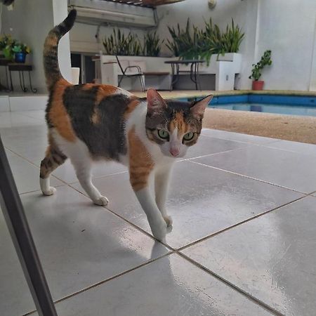 Casssa Vlanca Hotel بالينكو المظهر الخارجي الصورة